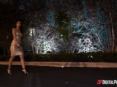 Kont, Bruinharig, Rondborstig, Gezichtzitten, Zoenen, Leer, Likken, Kut duiken