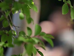 美女, デカチン, 茶髪の, フェラする, オッパイの