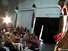 Amative cocotte's dancingbear.com movie