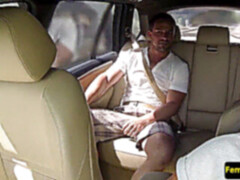 Amateur, Coche, Europeo, Público