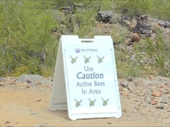 Anal, Acercamiento, Extremo, Abierta, Orgasmo, Público, Solo, Juguetes