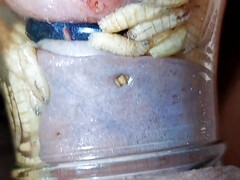 Любители, Садо мазо, Эксцентричное, Бабушки, Домашнее видео, Зрелые, Милф, Табу