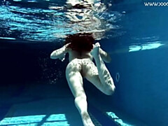 Grote kont, Badpak, Bruinharig, Latijnse vrouw, Biljart, Openbaar, Geschoren, Spaans