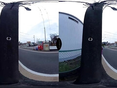Japonés, Pov