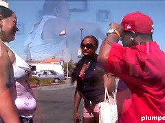 Arsch, Wohlbeleibte schöne frauen, Grosse titten, Schwarz, Blasen, Schwanz, Hundestellung, Fett