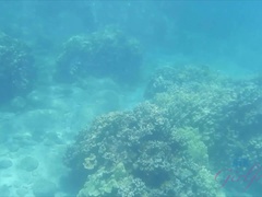 素人, ビーチ, フェラチオ, 露出狂, 彼女, オーガズム, 公共, のぞき