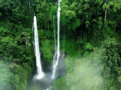 素人, フェラチオ, イく瞬間, ハードコア, ハメ撮り