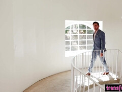 Anal, Verga grande, Tetas grandes, Mamada, Polla, Sexo fuerte, Transexual