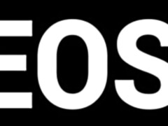 Anaal, Grote kont, Grote lul, Grote mammen, Rondborstig, Latijnse vrouw, Pornster, Tieten likken