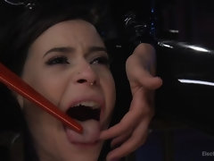 In den arsch, Dildo, Domination, Weibliche domination, Faustfick, Französisch, Erniedrigung, Bestrafung