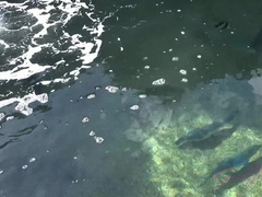 Rina has fun on the beach, and the Aquarium.