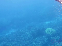 素人, ビーチ, ビキニ, フェラチオ, 足, キッチン, オーガズム, 小柄