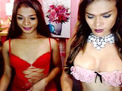 Любители, Трансы