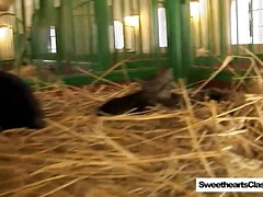 Amateur, Gros seins, Lesbienne, Léchez, De plein air, Public, Chatte, Adolescente