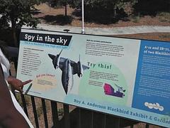 Любители, Красотки, Черные, Черненькие, Подружка, От первого лица, На публике, Соло