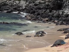 Leie, Blondine, Freundin, Pov, Muschi, Abendanzug