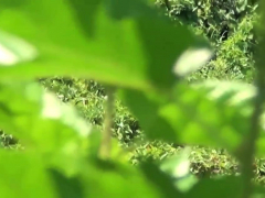 Азиатки, Китаянки, Фетиш, На природе, Реалити, Молоденькие, Униформа, Подглядывание