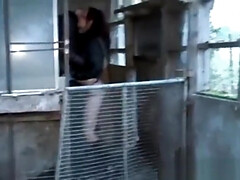 Минет, Грудастые, Классика, Семяизвержение, Глубокая глотка, Собачьи, Готки, Соски