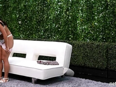 Culo, Culo grande, Tetas grandes, Mamada, Morena, Hembra, Peludo, Orgasmo