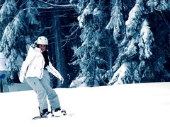 Sucer une bite, Tir de sperme, Queue, 2 femmes 1 homme, Hd, Seins naturels, Rasée, Nénés