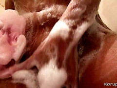 Bruinharig, Geschoren, Douche, Alleen