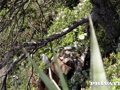 Grosse titten, Blondine, Blasen, Vollbusig, Milf, Im freien, Flotter dreier, Titten