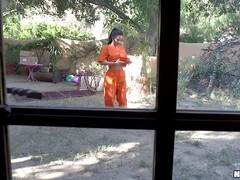 Enthousiasteling, Grote kont, Grote mammen, Pijpbeurt, Bruinharig, Rondborstig, Moeder die ik wil neuken, Tieten likken