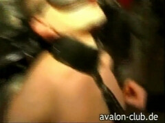 Sadomasochismus, Fesselspiele, Vollbusig, Schwanz, Domination, Weibliche domination, Hd, Hintern versohlen