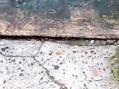 Cul, Classique, Gorge profonde, Marrant, Mamelons, Orgasme, Russe, Nénés