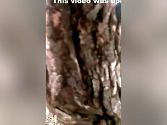 Любители, Жопа, Минет, Грудастые, Натуральные, Оргазм, На публике, Сиськи