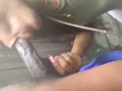 Bondage domination sadisme masochisme, Noire, Sucer une bite, Noir ébène, Mère que j'aimerais baiser, Transsexuelle