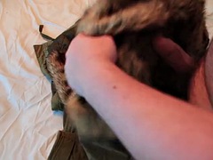 Leie, Grosser schwanz, Spermaladung, Schwul, Masturbation