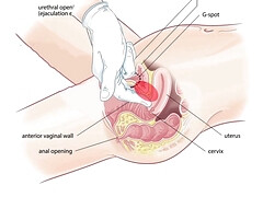 Cul, Beauté, Brunette brune, Mignonne, Hard, Hd, Naturelle, Nénés