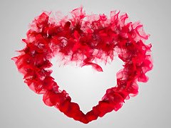 Толстушки, Большие сиськи, Минет, Хд, Зрелые, Милф, Жесткий секс, Кричащие