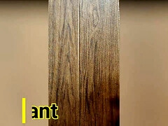 Amateur, Verga grande, Pareja, Corridas, Casero, Latina, Chorro, Tetas