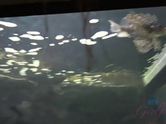 Salle de bains, Poupée, Robe, Doigter, Masturbation, Pov, Chatte, Nénés