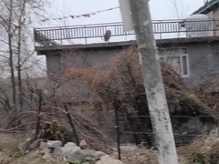 アジア人, デカチン, デカパイ, 巨乳な, カップル, 巨大, 裸, ヌード