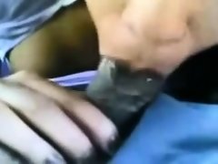 Amateur, Sucer une bite, Tir de sperme, Faciale, Pov