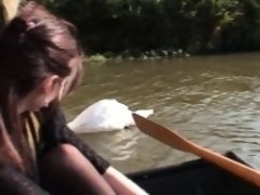 Enthousiasteling, Bruinharig, Hd, Buiten, Openbaar, Realiteit