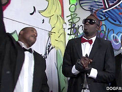 Grosser schwanz, Schwarz