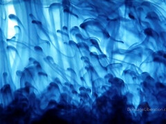 Жопа, Большая жопа, Большие сиськи, Фетиш, Оргазм, Киски, Сиськи, Игрушки