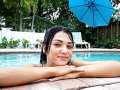 Kont, Bruinharig, Hondjeshouding, Handbeurt, Likken, Biljart, Geschoren, Tiener