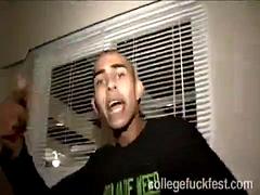 Leie, Grosser schwanz, Blasen, Gruppe, Hardcore, Interrassisch, Party, Öffentlich