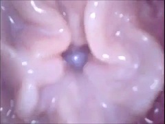 一人, おもちゃ