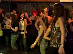 Tussi, Gruppe, Hardcore, Party