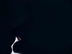 18, アナル, 茶髪の, ディルド, エクストリーム, フィストファック, ティーン, おもちゃ