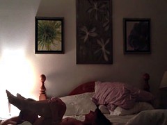 Enthousiasteling, Hardcore, Likken, Tiener