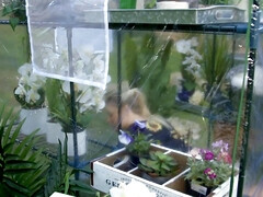 Большая жопа, Большие сиськи, Блондинки, Грудастые, Милф, Киски, Сиськи, Влажная