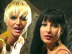 Verga grande, Clasico