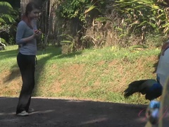 Enthousiasteling, Strand, Vriendin, Handbeurt, Doordringend, Gezichtspunt, Kut duiken, Mager